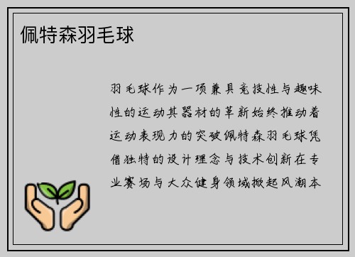 佩特森羽毛球