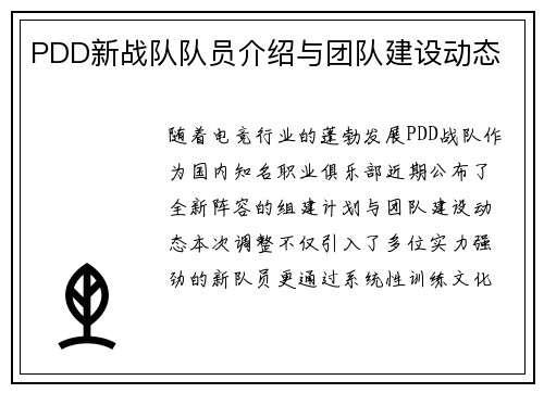 PDD新战队队员介绍与团队建设动态